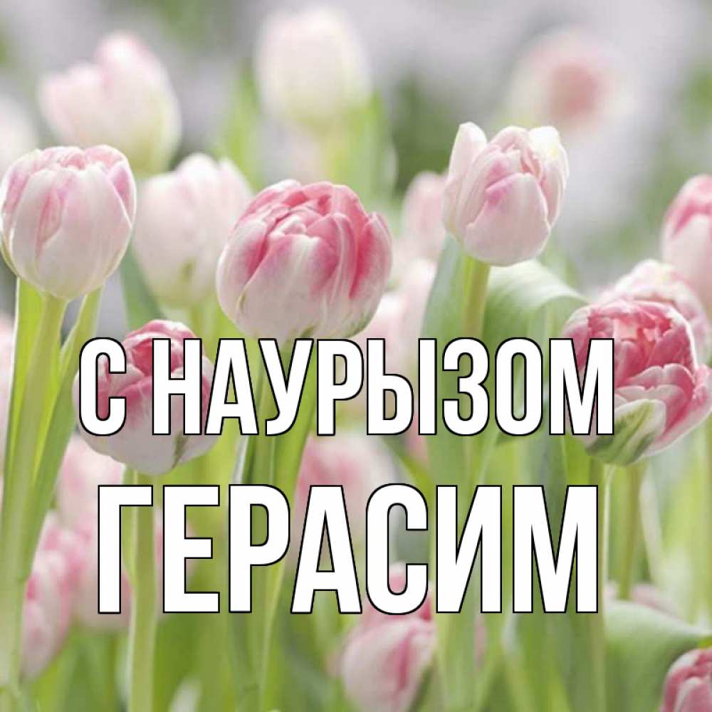 Открытка на каждый день с именем, Герасим С наурызом цветы Прикольная открытка с пожеланием онлайн скачать бесплатно 