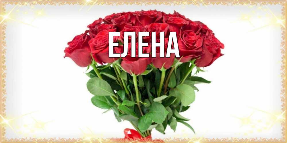 Открытка на каждый день с именем, Елена Главная самый огромный букет для милых дам Прикольная открытка с пожеланием онлайн скачать бесплатно 