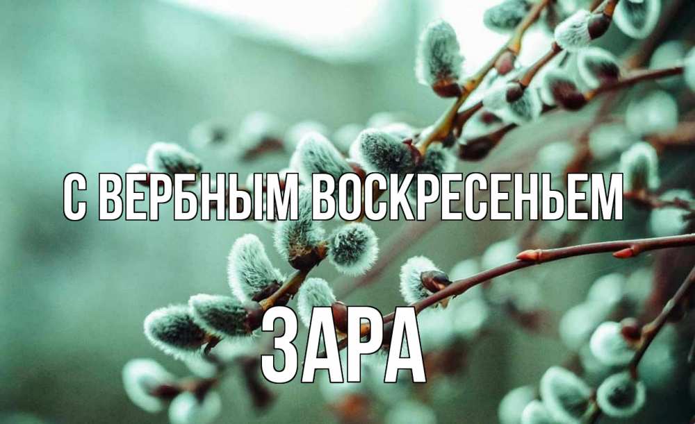 Открытка на каждый день с именем, Зара С вербным воскресеньем верба Прикольная открытка с пожеланием онлайн скачать бесплатно 
