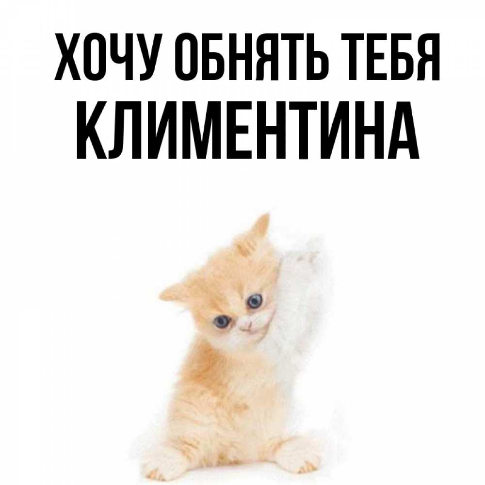 Открытка на каждый день с именем, Климентина Хочу обнять тебя я хочу очень скорее обнимаешек Прикольная открытка с пожеланием онлайн скачать бесплатно 