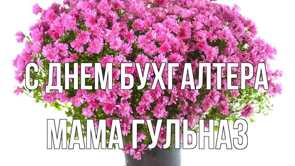 Открытка на каждый день с именем, Мама-Гульназ С днем бухгалтера с днем бухгалтера Прикольная открытка с пожеланием онлайн скачать бесплатно 