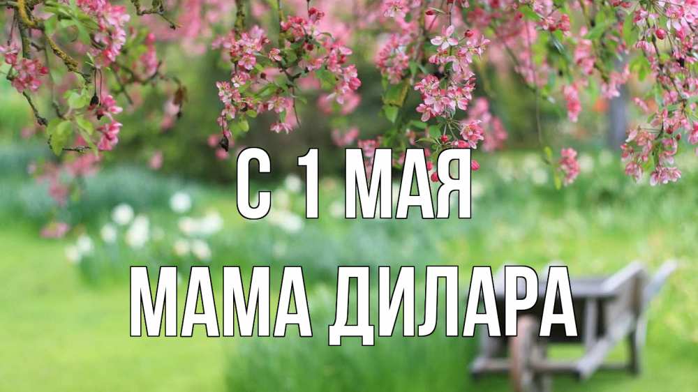Открытка на каждый день с именем, Мама-Дилара С 1 мая С 1 мая Прикольная открытка с пожеланием онлайн скачать бесплатно 
