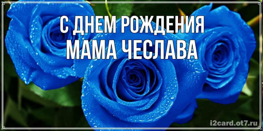 Открытка на каждый день с именем, Мама-Чеслава С днем рождения розы с синим цветом Прикольная открытка с пожеланием онлайн скачать бесплатно 