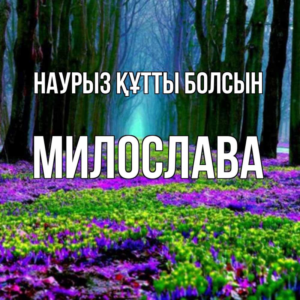 Открытка на каждый день с именем, Милослава Наурыз құтты болсын фиолетовые цветы в лесу 1 Прикольная открытка с пожеланием онлайн скачать бесплатно 