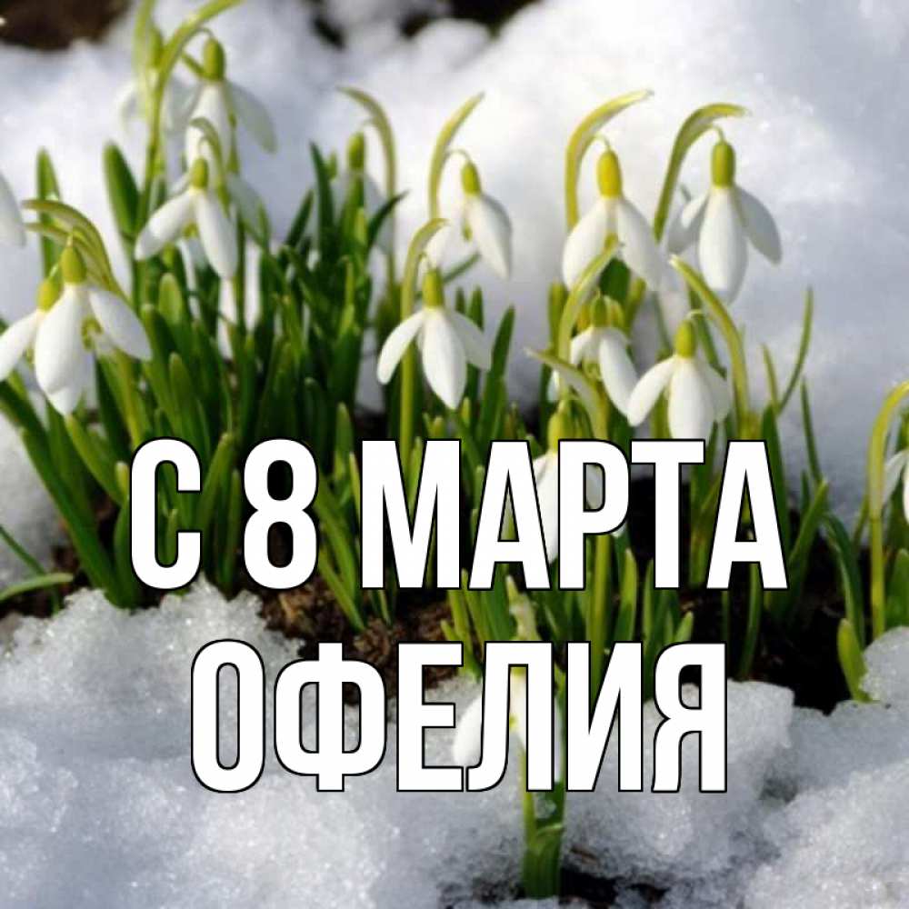 Открытка на каждый день с именем, Офелия С 8 МАРТА цветы весенние Прикольная открытка с пожеланием онлайн скачать бесплатно 