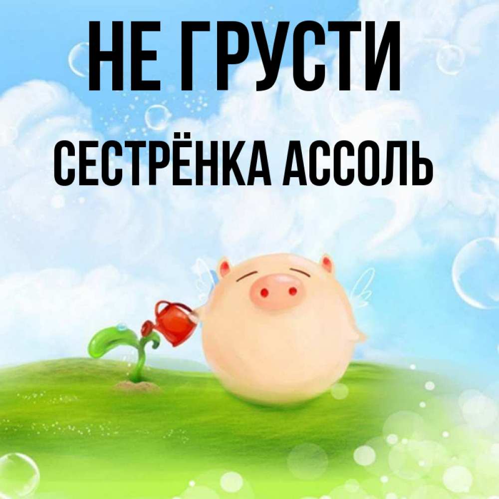 Открытка на каждый день с именем, Сестрёнка-Ассоль Не грусти поливает цветок порося Прикольная открытка с пожеланием онлайн скачать бесплатно 
