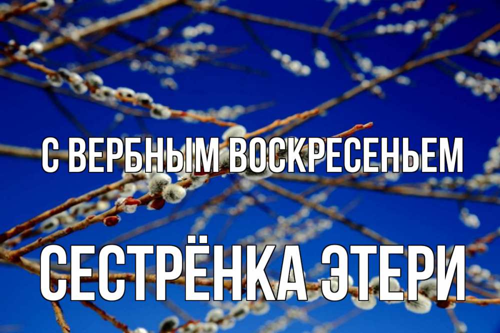 Открытка на каждый день с именем, Сестрёнка-Этери С вербным воскресеньем верба Прикольная открытка с пожеланием онлайн скачать бесплатно 