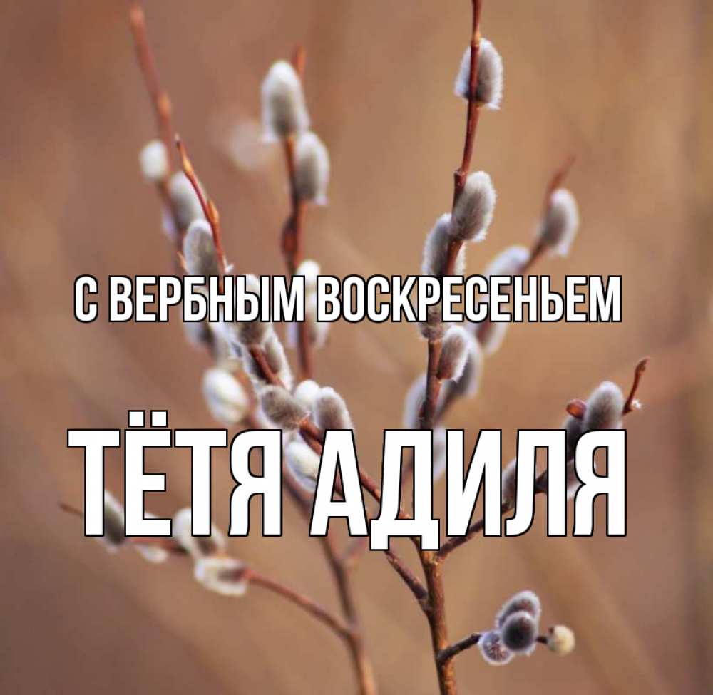 Открытка на каждый день с именем, Тётя-Адиля С вербным воскресеньем верба Прикольная открытка с пожеланием онлайн скачать бесплатно 