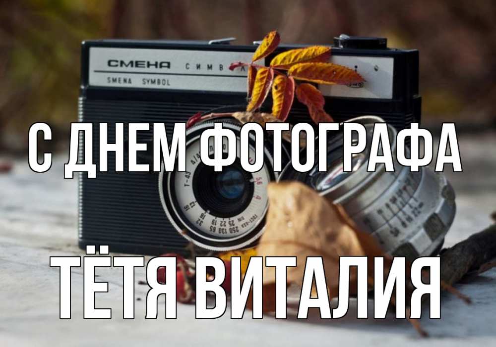 Открытка на каждый день с именем, Тётя-Виталия С днем фотографа с днем фотографа Прикольная открытка с пожеланием онлайн скачать бесплатно 
