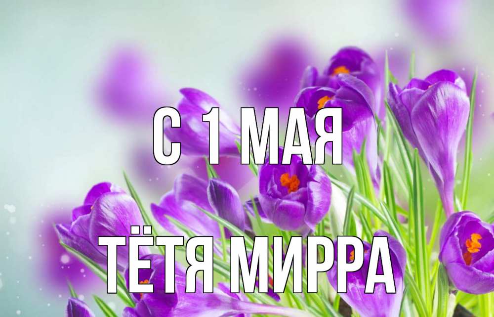 Открытка на каждый день с именем, Тётя-Мирра С 1 мая 1 мая Прикольная открытка с пожеланием онлайн скачать бесплатно 