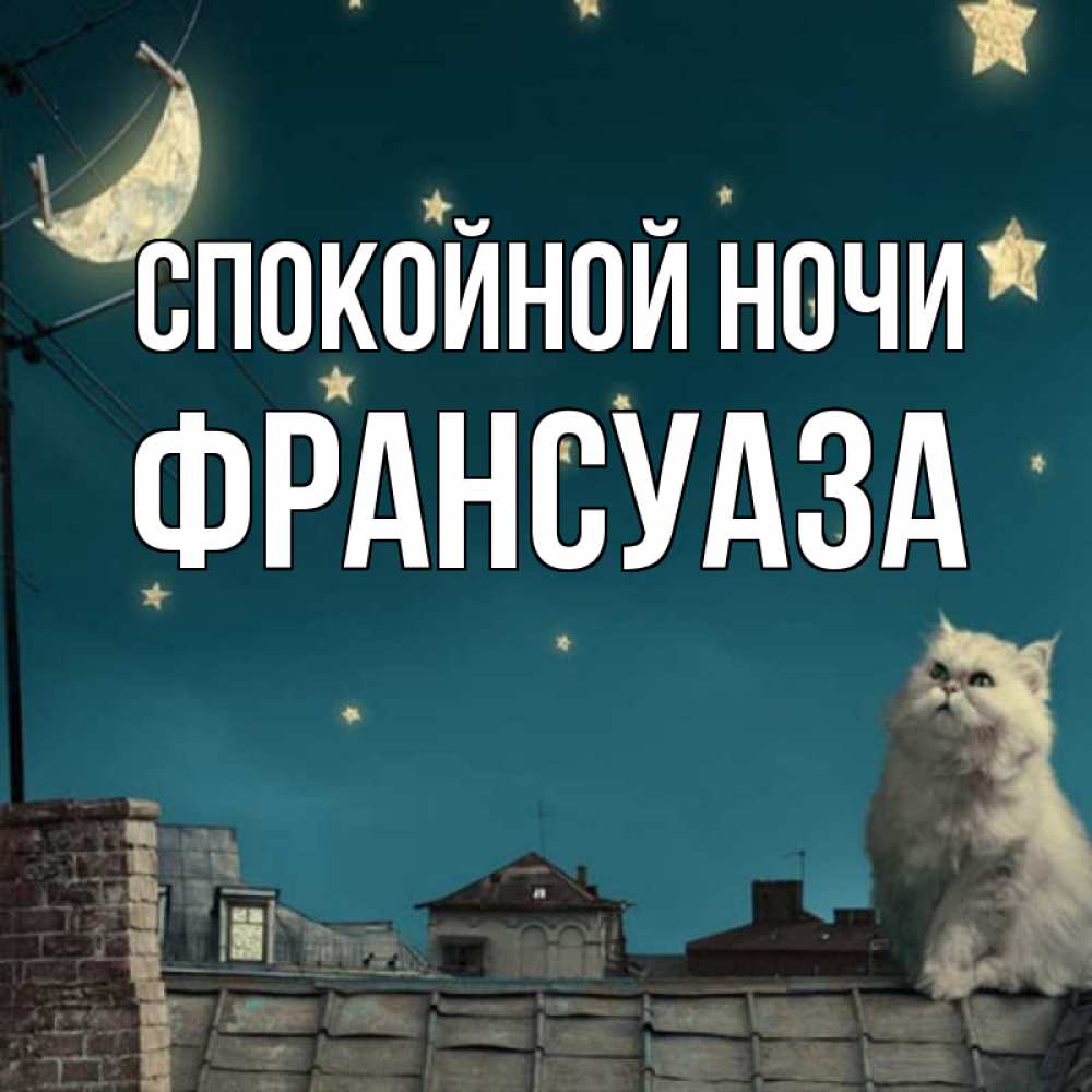 Открытка на каждый день с именем, Франсуаза Спокойной ночи белый кот сидит на крыше Прикольная открытка с пожеланием онлайн скачать бесплатно 