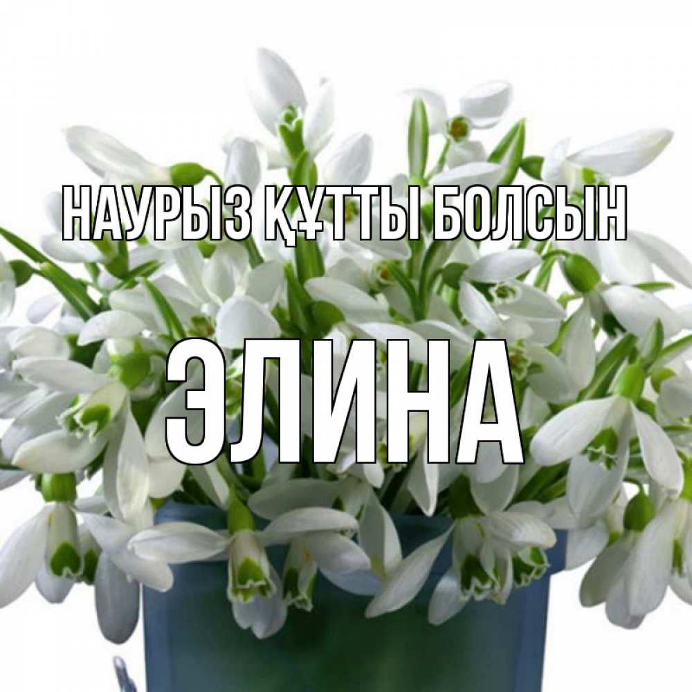 Открытка на каждый день с именем, Элина Наурыз құтты болсын цветы к наурызу Прикольная открытка с пожеланием онлайн скачать бесплатно 