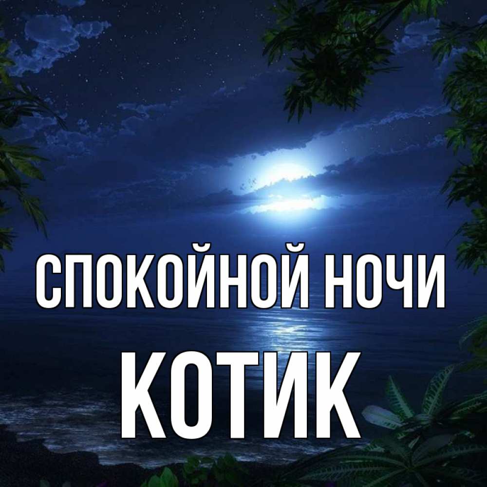 Открытка на каждый день с именем, котик Спокойной ночи тропический остров Прикольная открытка с пожеланием онлайн скачать бесплатно 