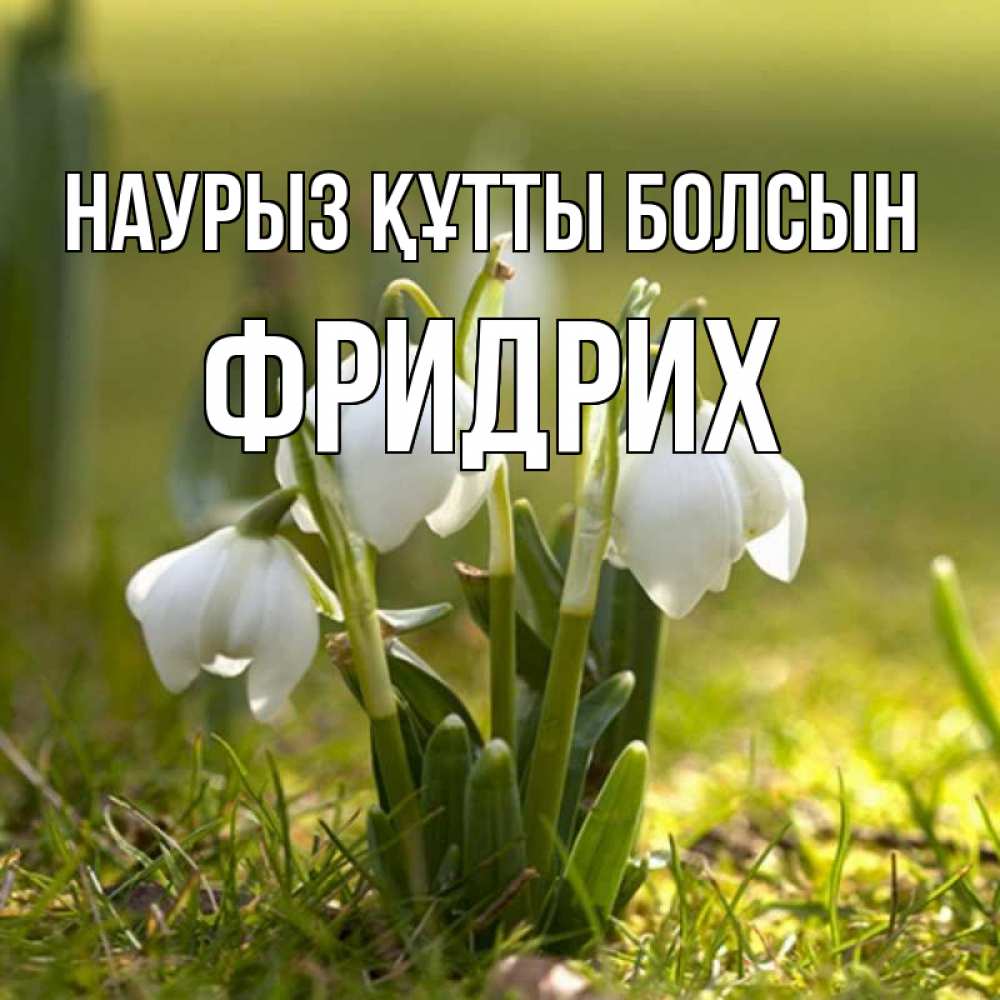 Открытка на каждый день с именем, Фридрих Наурыз құтты болсын ранние цветы 2 Прикольная открытка с пожеланием онлайн скачать бесплатно 