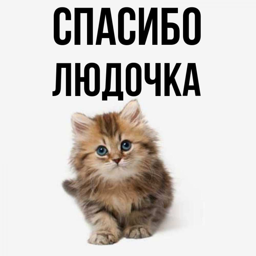 Открытки открытка, открытки спасибо людочка