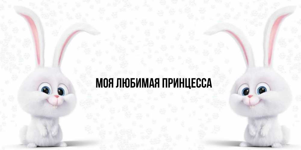 Картинка  с именем , Моя Любимая Принцесса