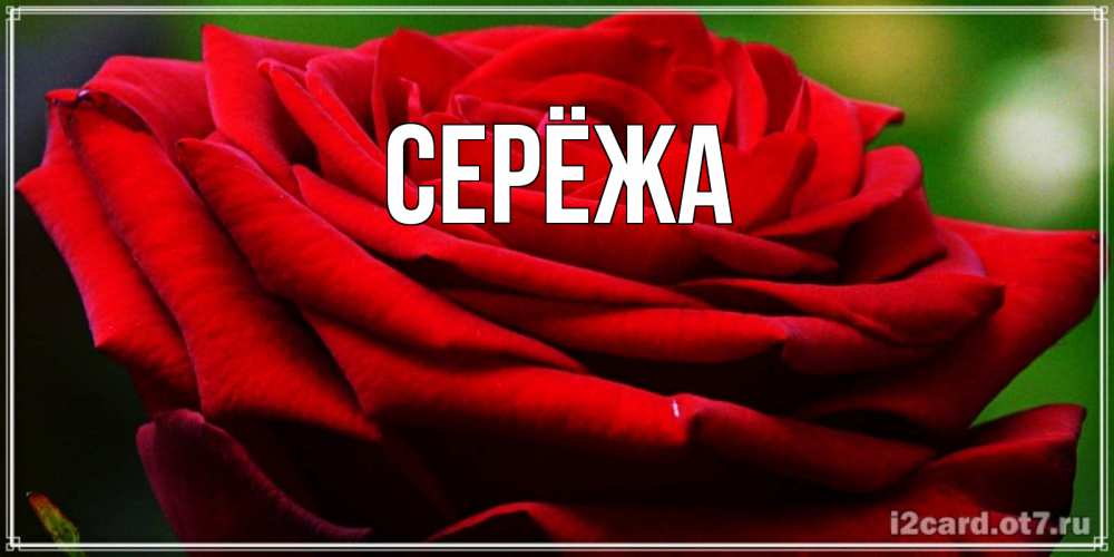 Картинка  с именем , Серёжа