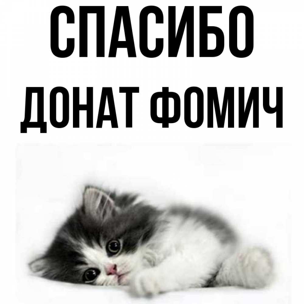 Спасибо за донат. Спасибо за донат