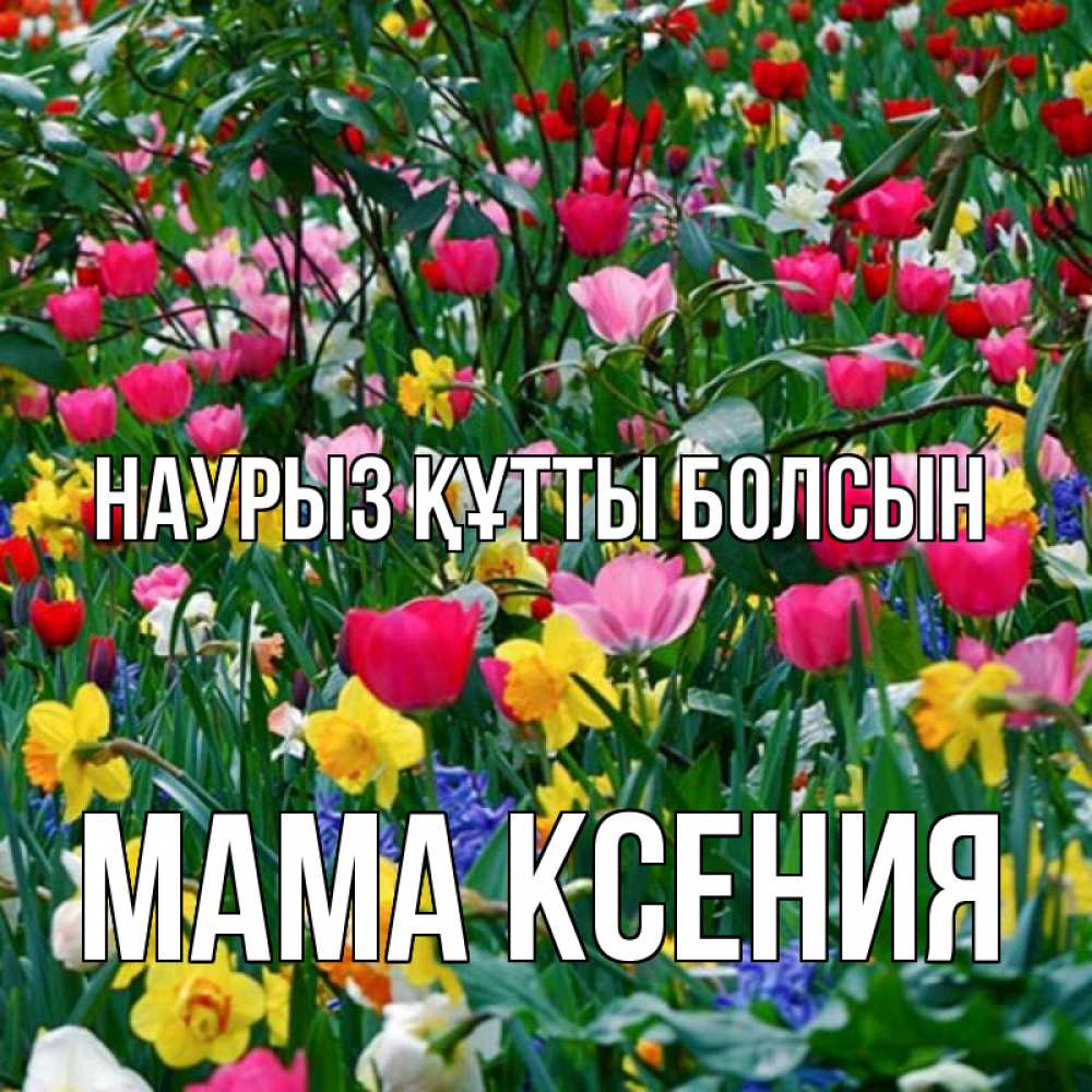 Открытка на каждый день с именем, Мама-Ксения Наурыз құтты болсын с наурызом поздравления для женщины Прикольная открытка с пожеланием онлайн скачать бесплатно 