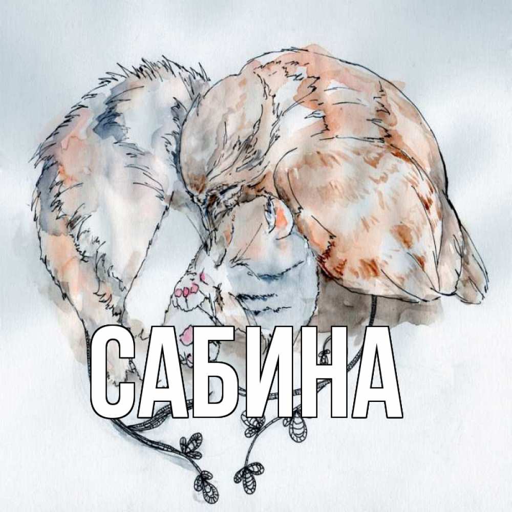 Открытка на каждый день с именем, Сабина Главная можно быть вместе даже когда очень разные Прикольная открытка с пожеланием онлайн скачать бесплатно 