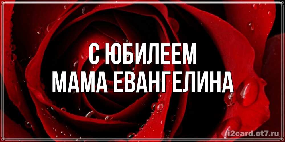 Открытка на каждый день с именем, Мама-Евангелина С юбилеем крупная бордовая роза Прикольная открытка с пожеланием онлайн скачать бесплатно 