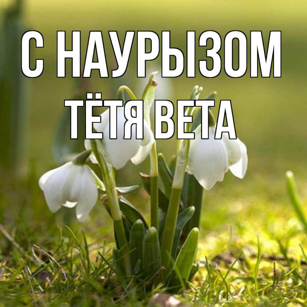 Открытка на каждый день с именем, Тётя-Вета С наурызом ранние цветы 2 Прикольная открытка с пожеланием онлайн скачать бесплатно 