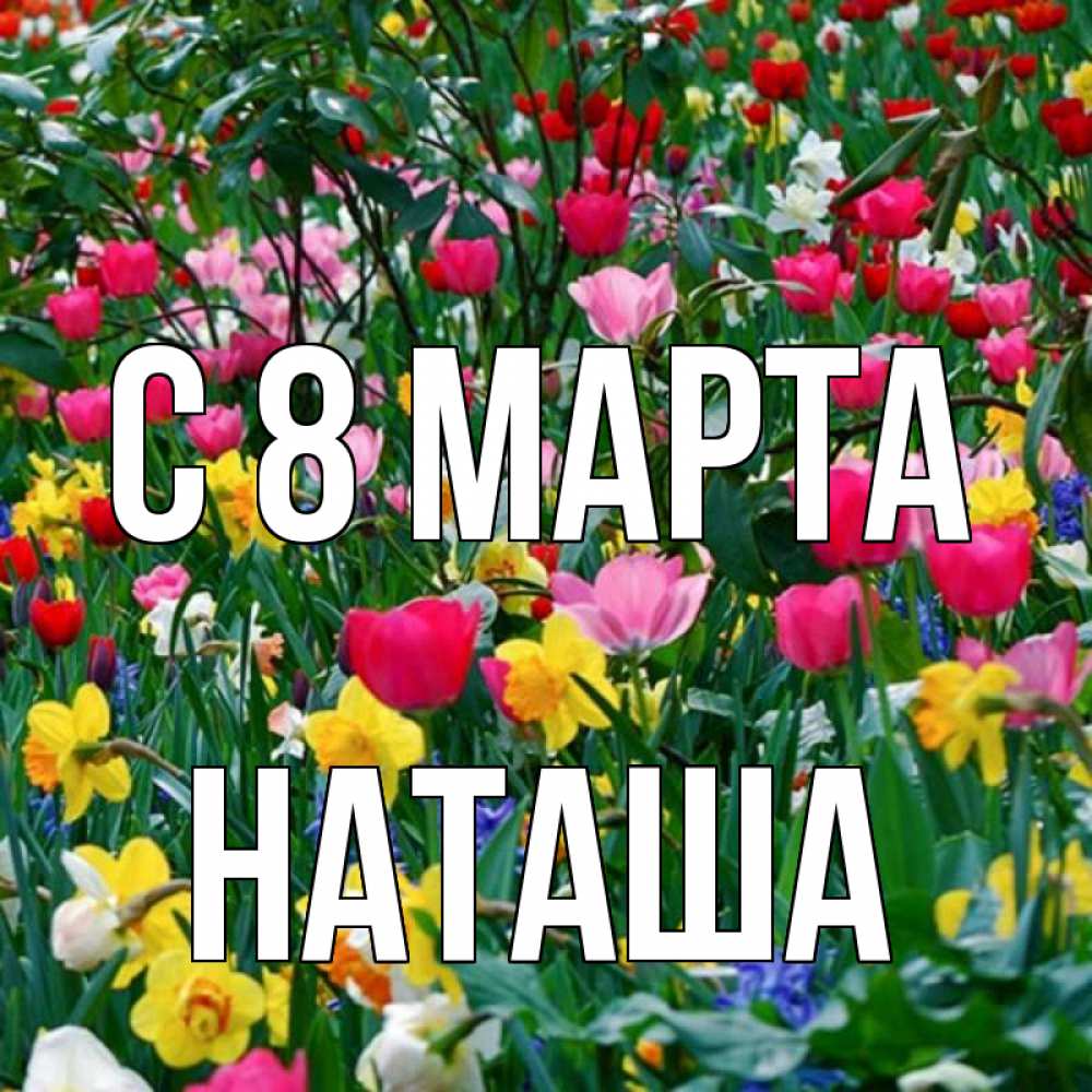 Открытка на каждый день с именем, наташа С 8 МАРТА с международным женским днем поздравления для женщины Прикольная открытка с пожеланием онлайн скачать бесплатно 