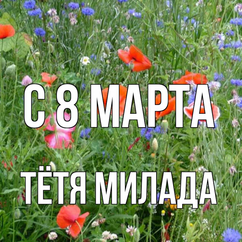 Открытка на каждый день с именем, Тётя-Милада С 8 МАРТА международный женский день 4 Прикольная открытка с пожеланием онлайн скачать бесплатно 