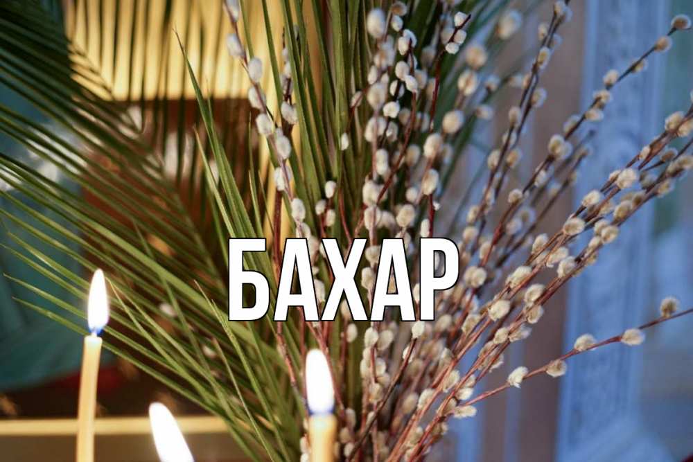 Открытка на каждый день с именем, Бахар Главная верба Прикольная открытка с пожеланием онлайн скачать бесплатно 