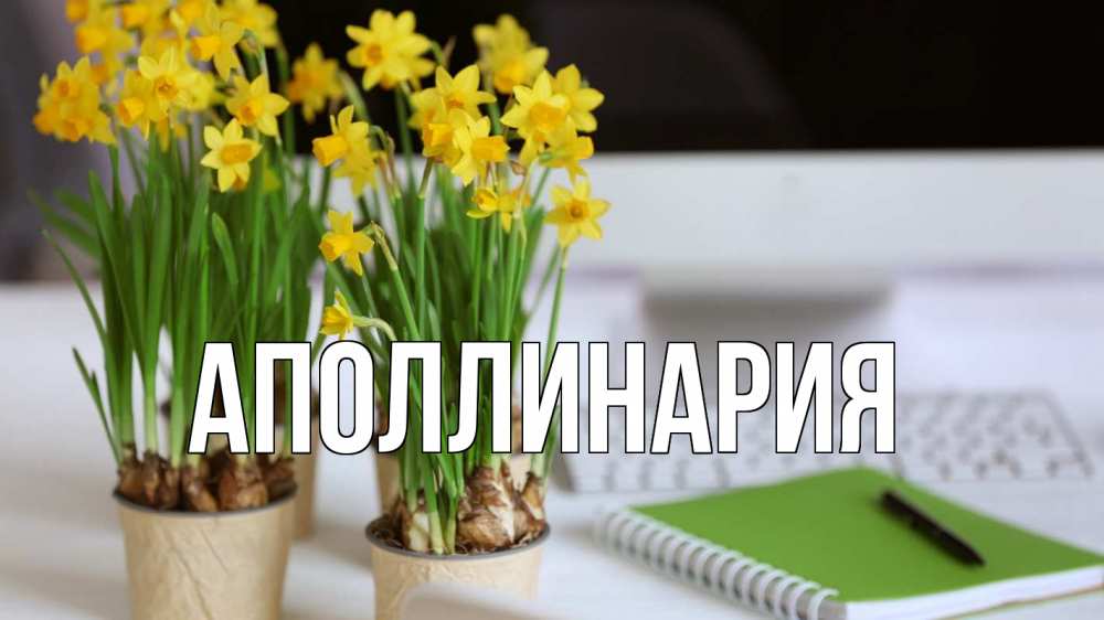 Открытка на каждый день с именем, Аполлинария Главная с днем бухгалтера Прикольная открытка с пожеланием онлайн скачать бесплатно 