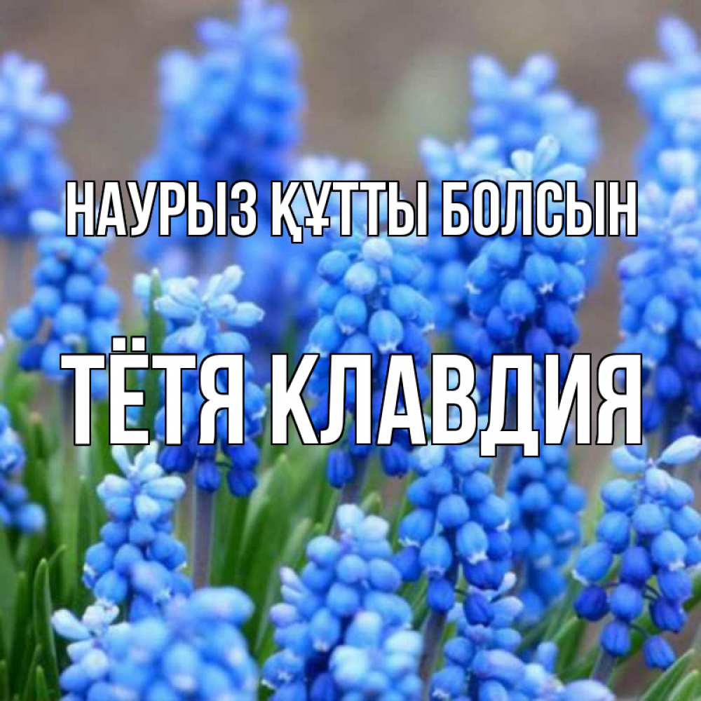 Открытка на каждый день с именем, Тётя-Клавдия Наурыз құтты болсын Поздравительная открытка для женщин с цветами на праздничную дату Прикольная открытка с пожеланием онлайн скачать бесплатно 