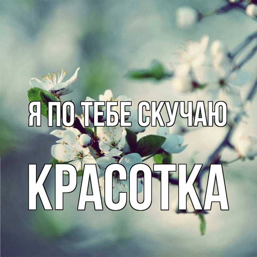 Картинка Я по тебе скучаю, красотка