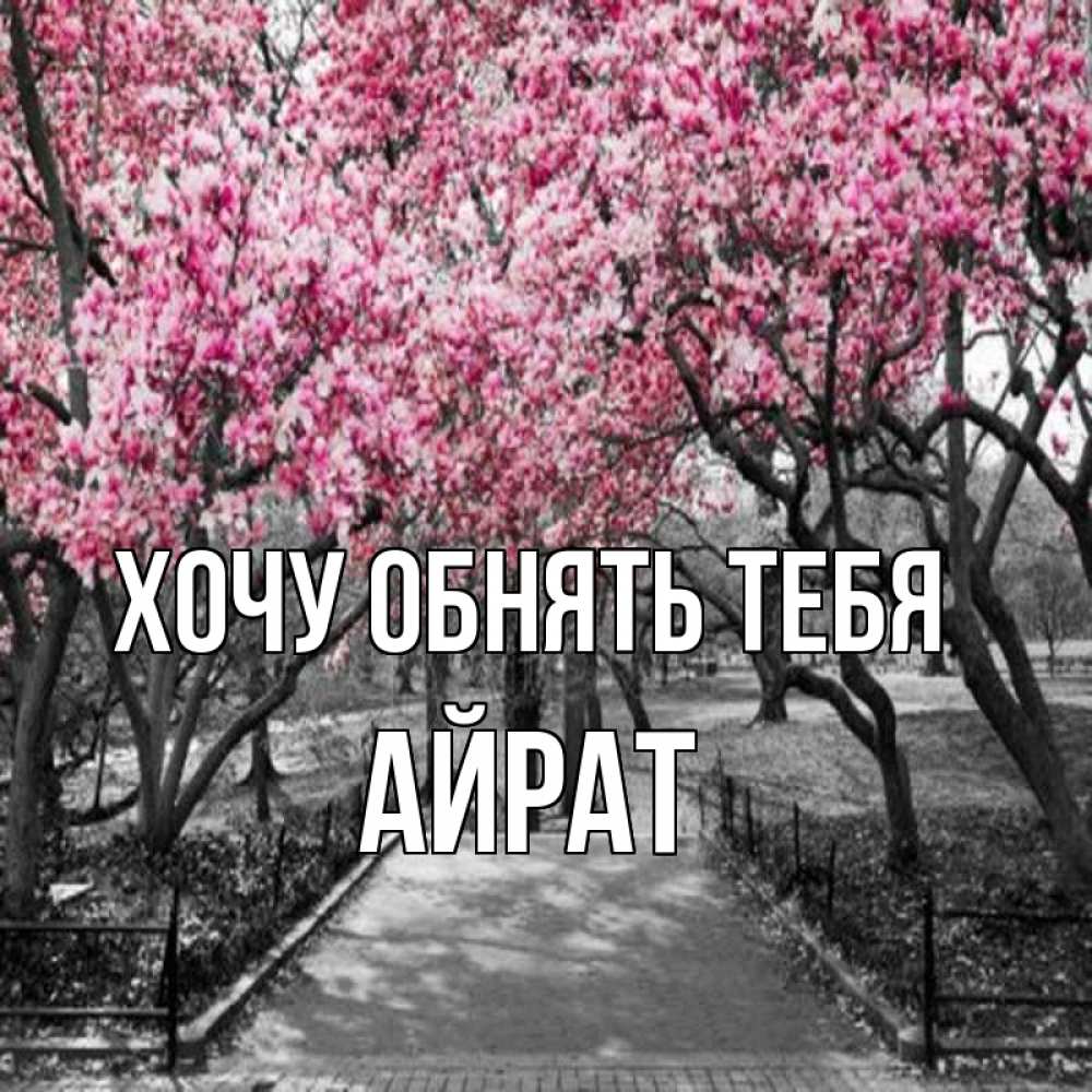 Открытка на каждый день с именем, Айрат Хочу обнять тебя обработанное фото Прикольная открытка с пожеланием онлайн скачать бесплатно 