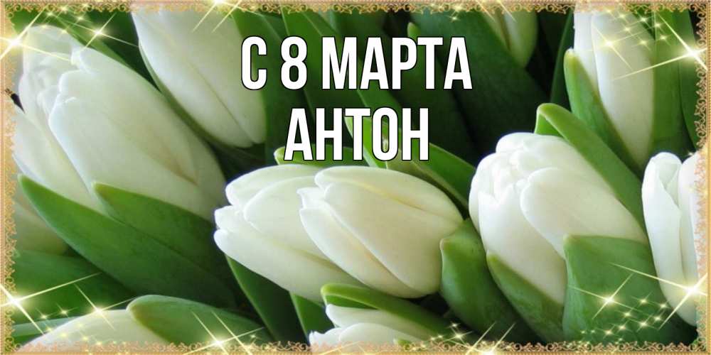 Открытка на каждый день с именем, Антон С 8 МАРТА поздравляем с 8 марта Прикольная открытка с пожеланием онлайн скачать бесплатно 