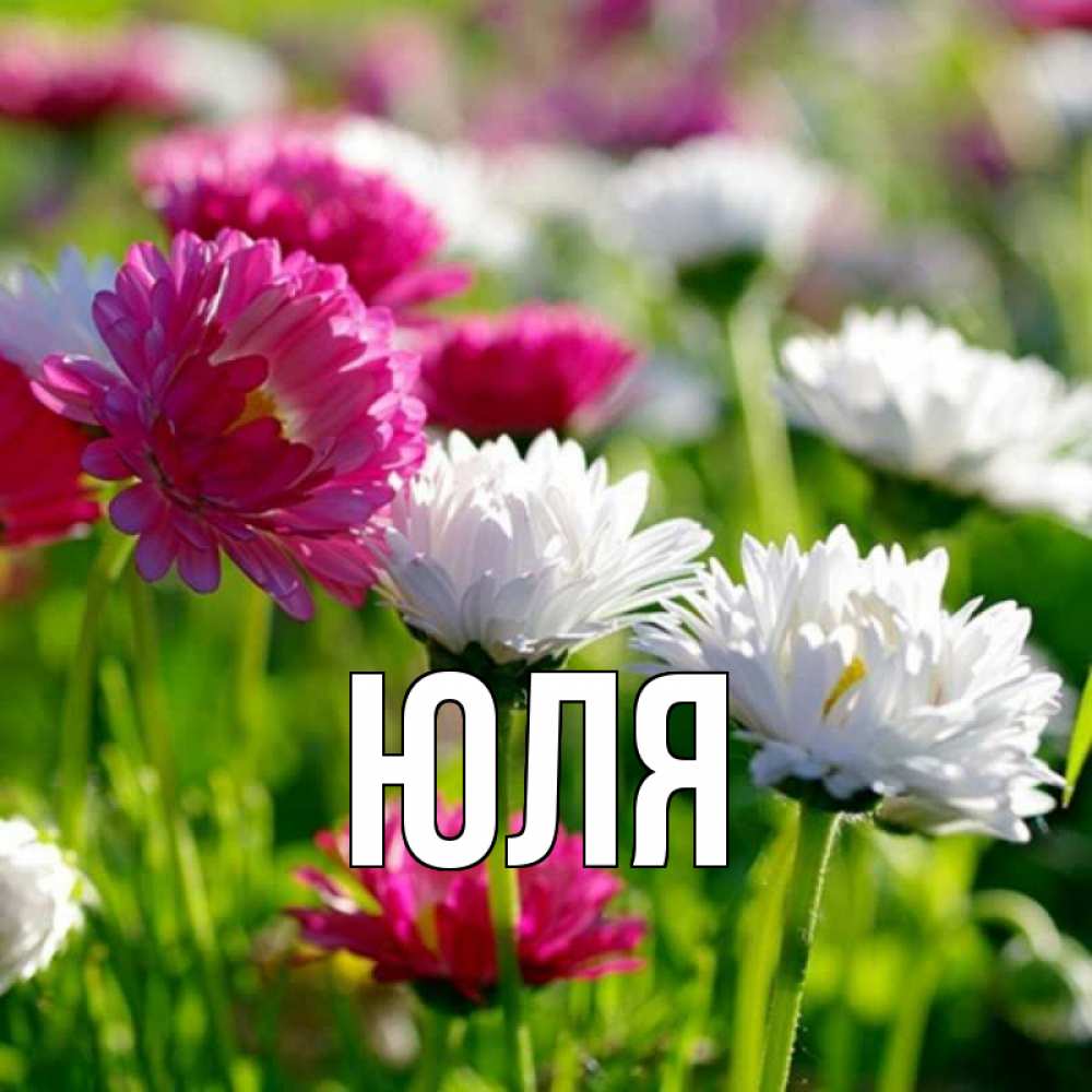 Надписью улыбнись, картинки цветы для юли