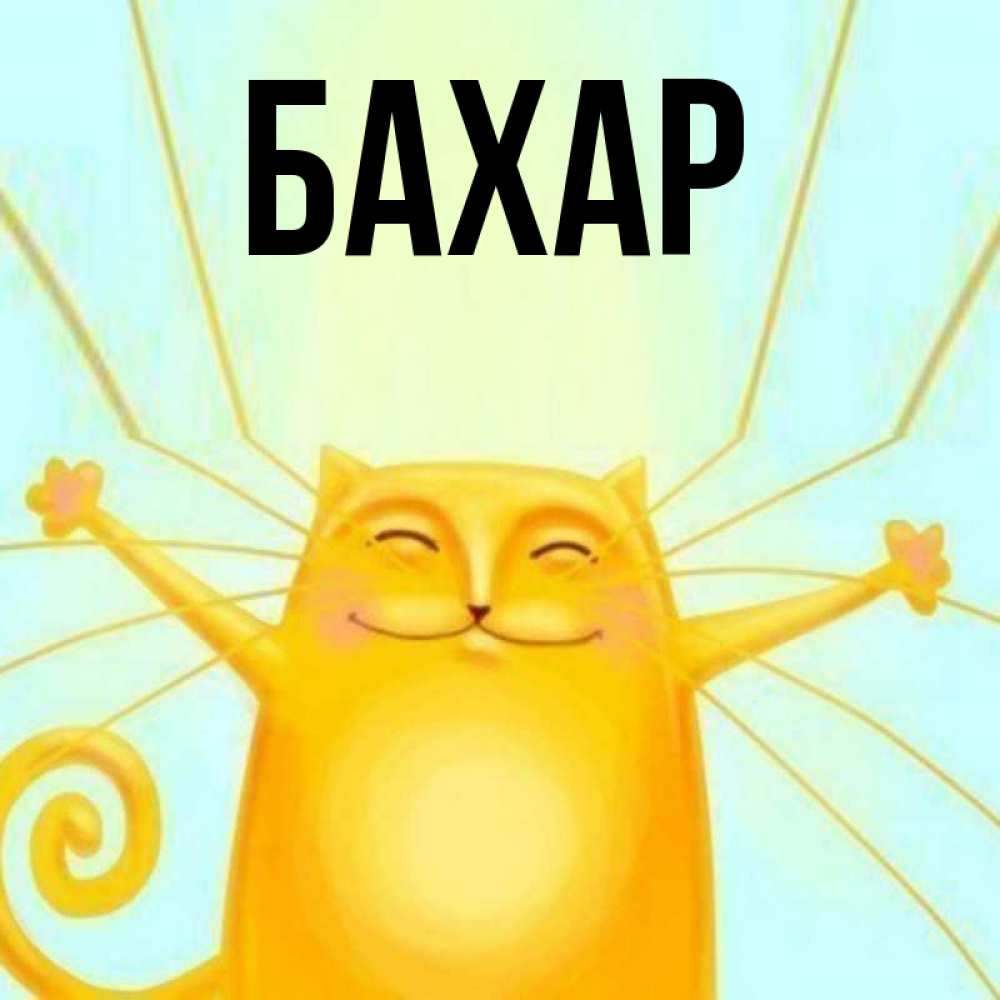 Открытка на каждый день с именем, Бахар Главная обнимашки усатые Прикольная открытка с пожеланием онлайн скачать бесплатно 