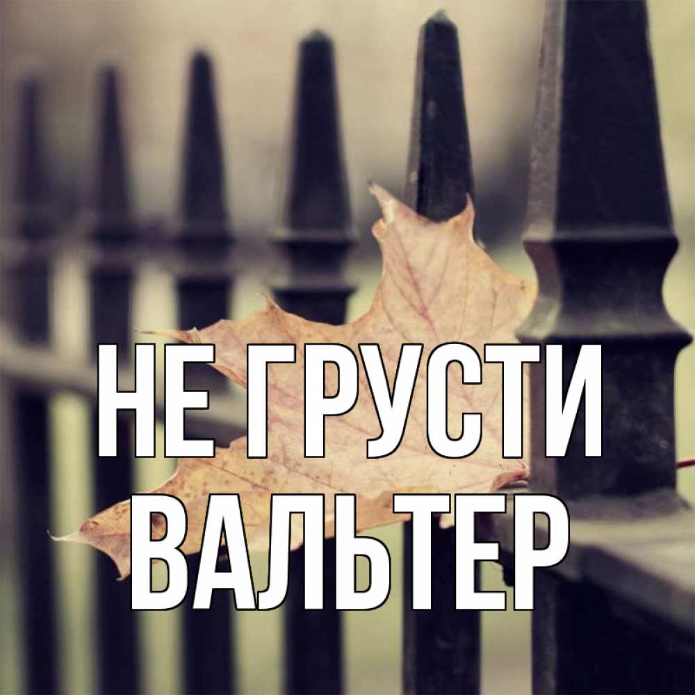 Открытка на каждый день с именем, Вальтер Не грусти лист клена Прикольная открытка с пожеланием онлайн скачать бесплатно 