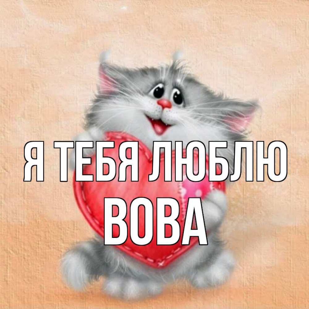 Люблю тебя володя картинки