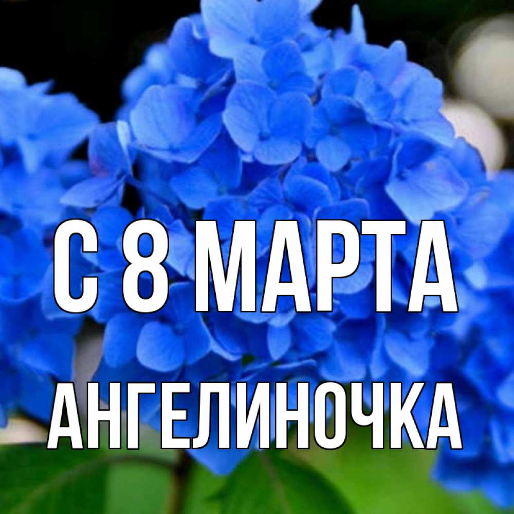 Открытка на каждый день с именем, Ангелиночка С 8 марта синие цветы Прикольная открытка с пожеланием онлайн скачать бесплатно 