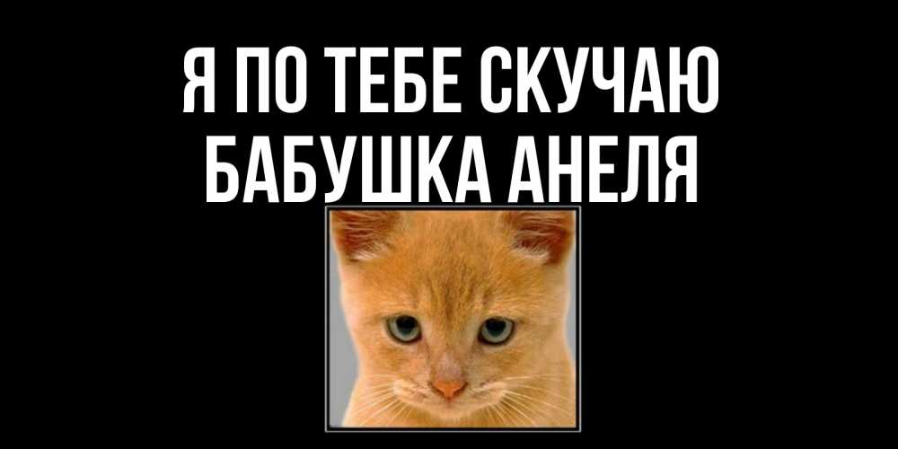 Открытка на каждый день с именем, Бабушка-Анеля Я по тебе скучаю открытки рыжий котенок скучает по тебе Прикольная открытка с пожеланием онлайн скачать бесплатно 