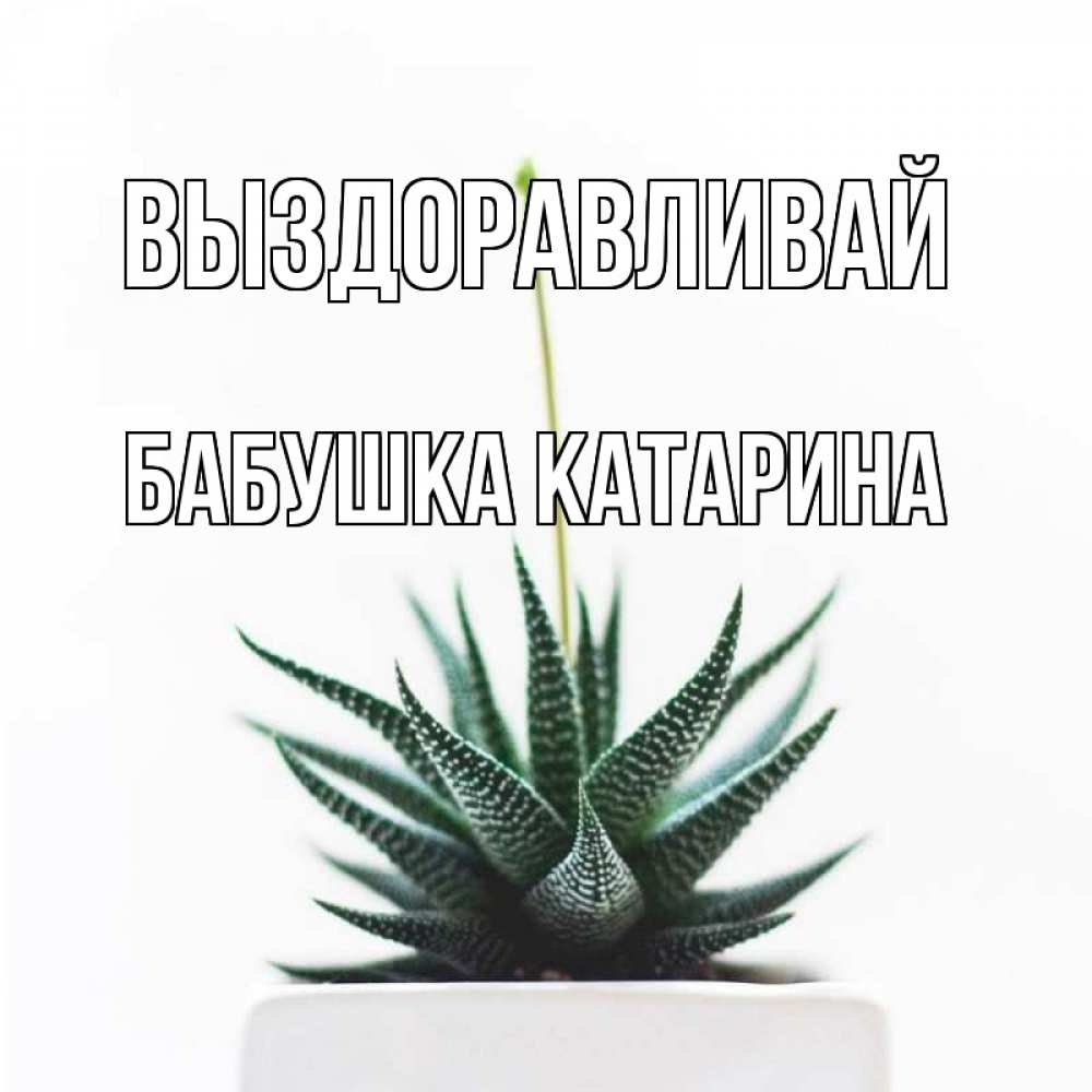 Открытка на каждый день с именем, Бабушка-Катарина Выздоравливай короче это непонятная колючка Прикольная открытка с пожеланием онлайн скачать бесплатно 