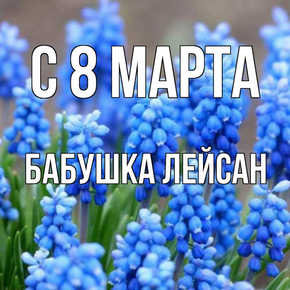 Открытка на каждый день с именем, Бабушка-Лейсан С 8 МАРТА Поздравительная открытка для женщин с цветами на праздничную дату Прикольная открытка с пожеланием онлайн скачать бесплатно 