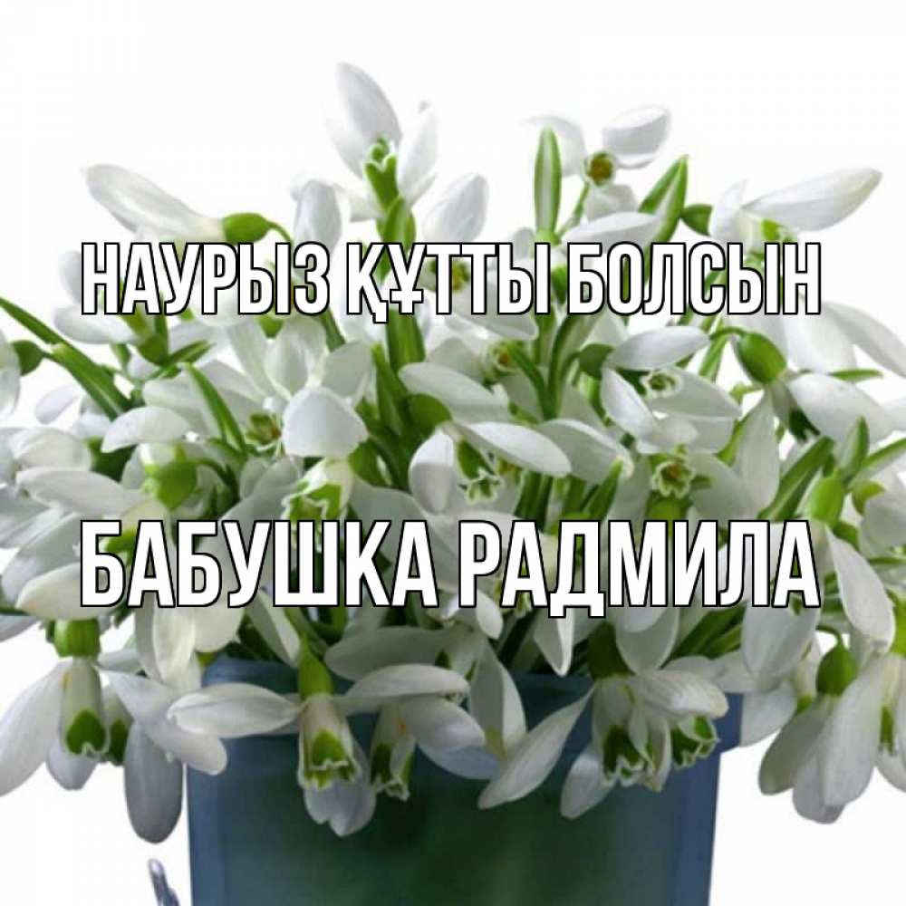 Открытка на каждый день с именем, Бабушка-Радмила Наурыз құтты болсын цветы к наурызу Прикольная открытка с пожеланием онлайн скачать бесплатно 