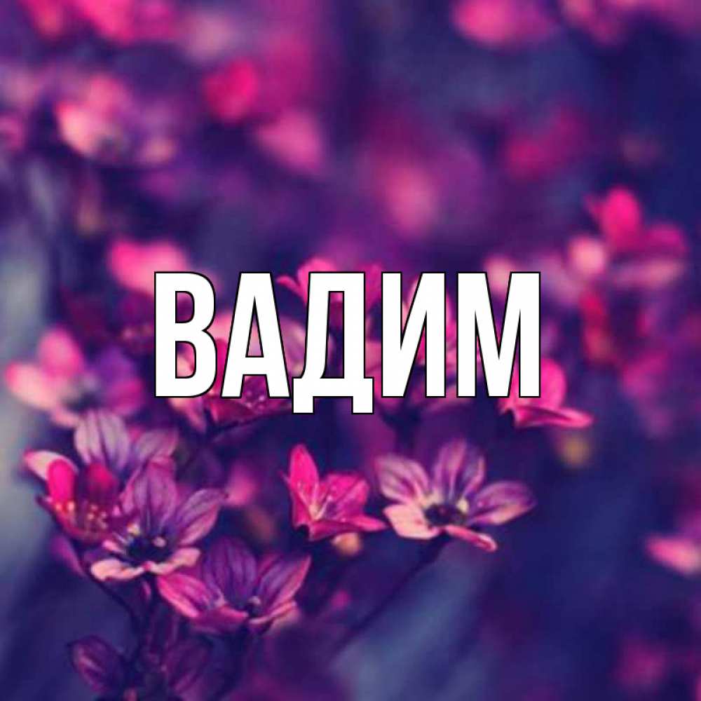 Открытка на каждый день с именем, Вадим Главная небольшие цветы 1 Прикольная открытка с пожеланием онлайн скачать бесплатно 
