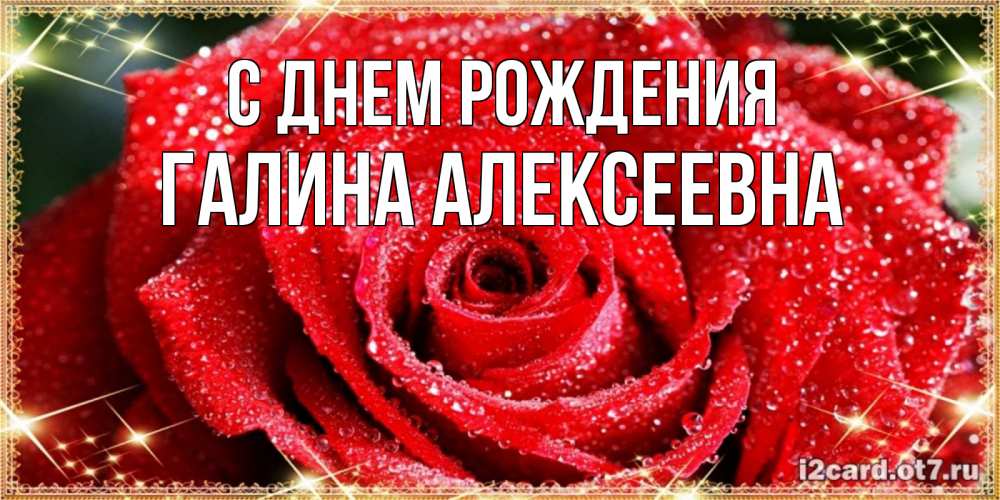 Открытка на каждый день с именем, Галина-Алексеевна С днем рождения роса и роза. открытка с красивой розой Прикольная открытка с пожеланием онлайн скачать бесплатно 