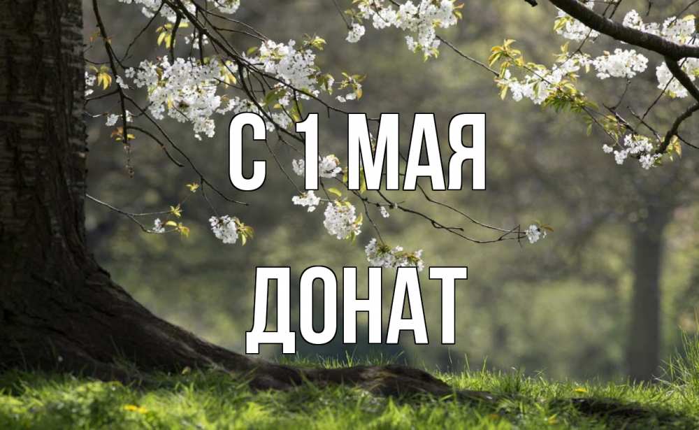 Открытка на каждый день с именем, Донат С 1 мая С 1 мая Прикольная открытка с пожеланием онлайн скачать бесплатно 