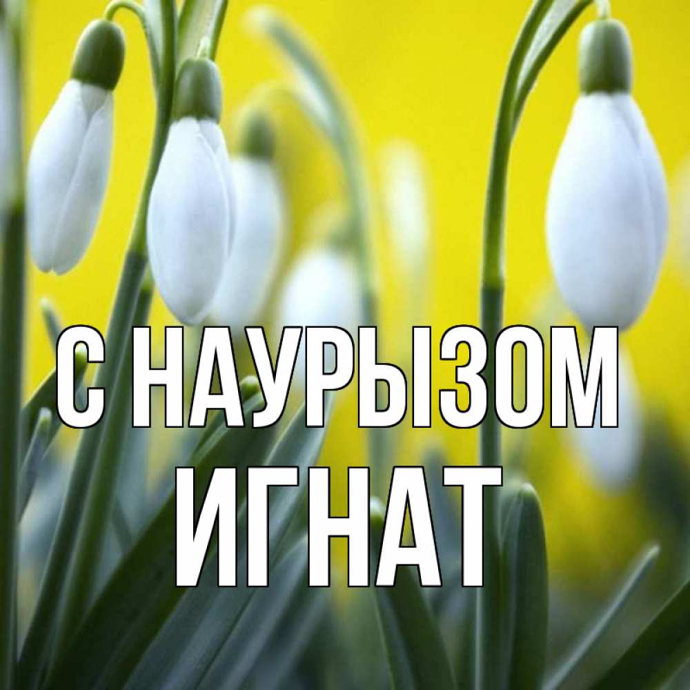 Открытка на каждый день с именем, Игнат С наурызом весенние цветы Прикольная открытка с пожеланием онлайн скачать бесплатно 