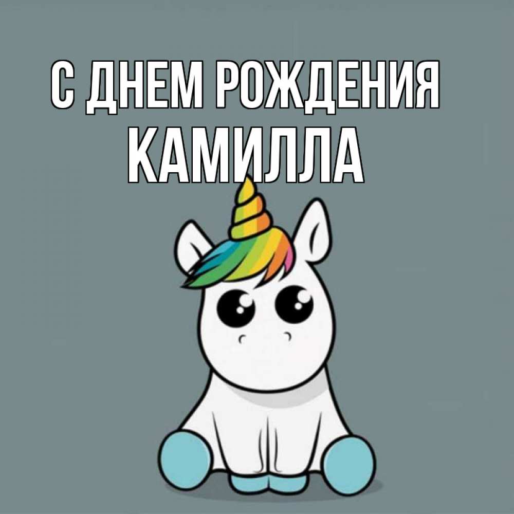 Открытка на каждый день с именем, Камилла С днем рождения пони Прикольная открытка с пожеланием онлайн скачать бесплатно 