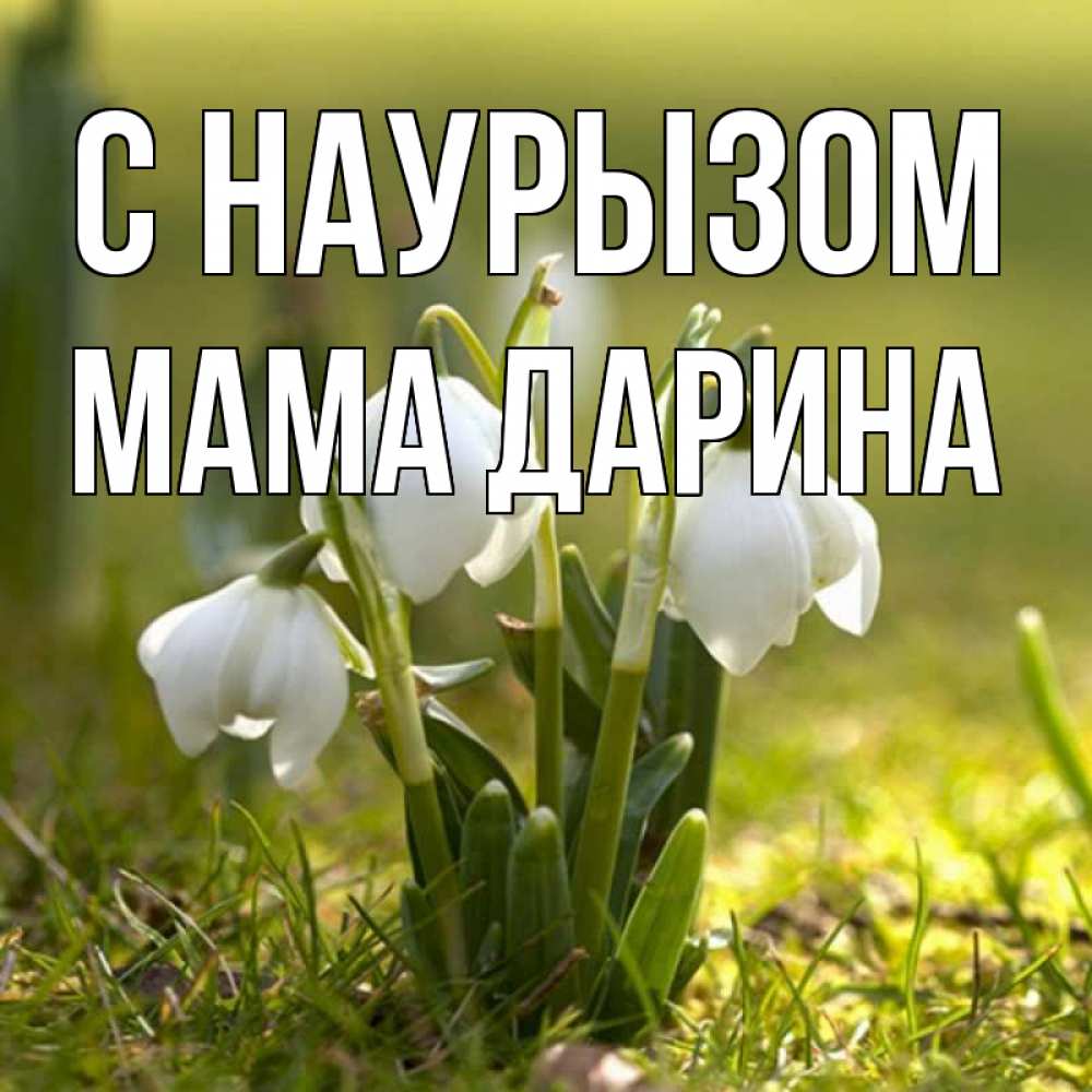 Открытка на каждый день с именем, Мама-Дарина С наурызом ранние цветы 2 Прикольная открытка с пожеланием онлайн скачать бесплатно 