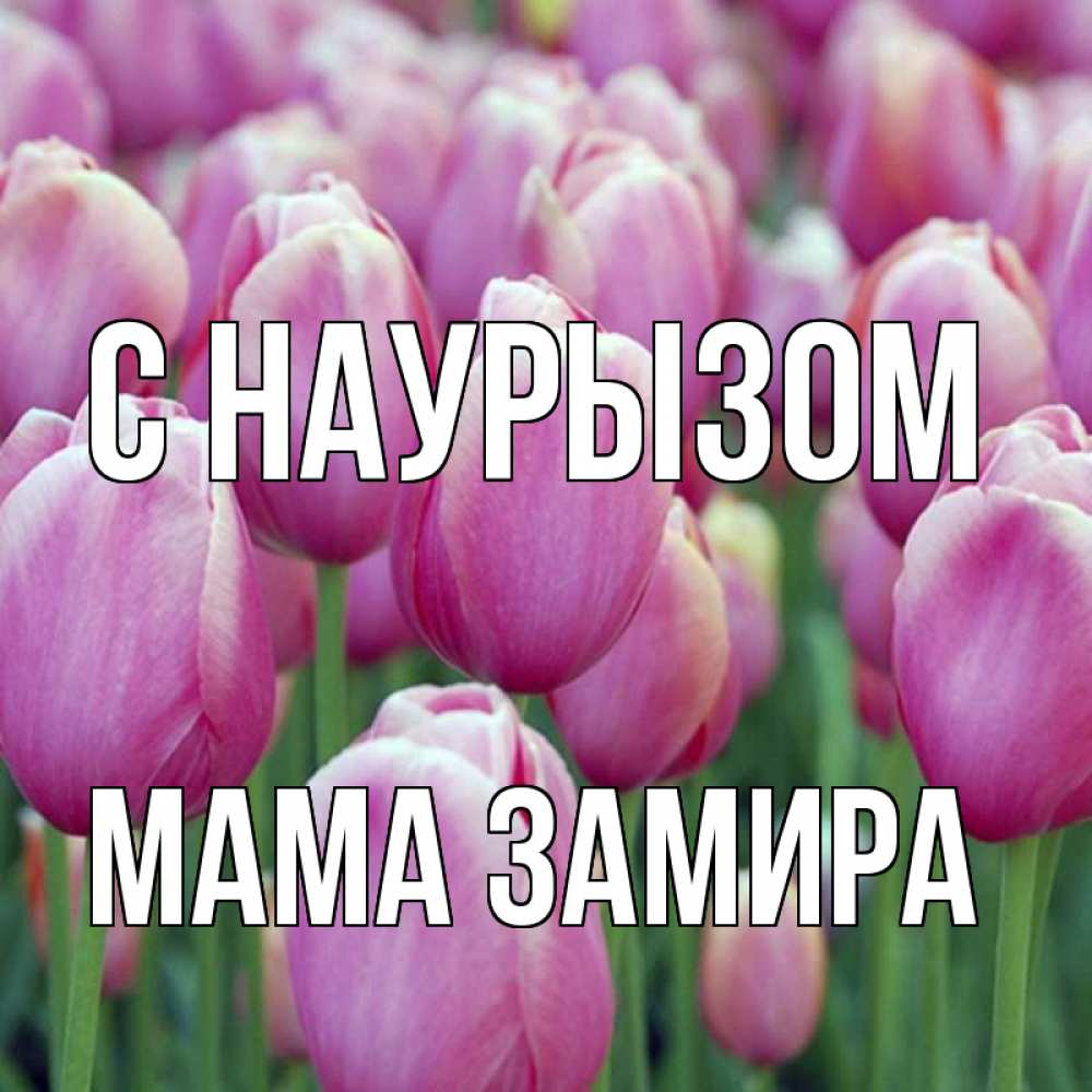 Открытка на каждый день с именем, Мама-Замира С наурызом праздник весны наурыз 69 Прикольная открытка с пожеланием онлайн скачать бесплатно 